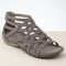 Zebra gray