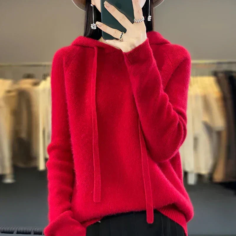 Saskia Hooded Knit Pullover Sweater