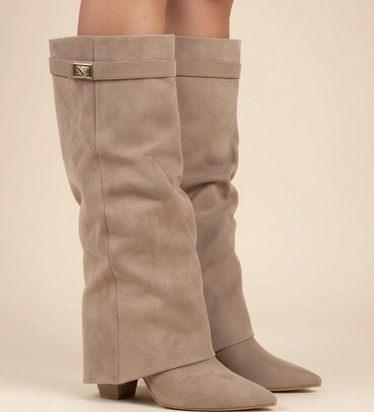 Verena Suede Pointed Toe Knee-High Boots